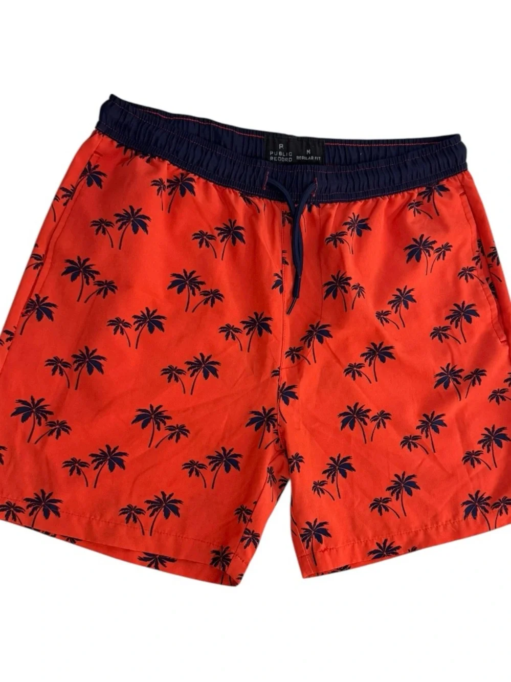 Public Record‎ Swim Trunks